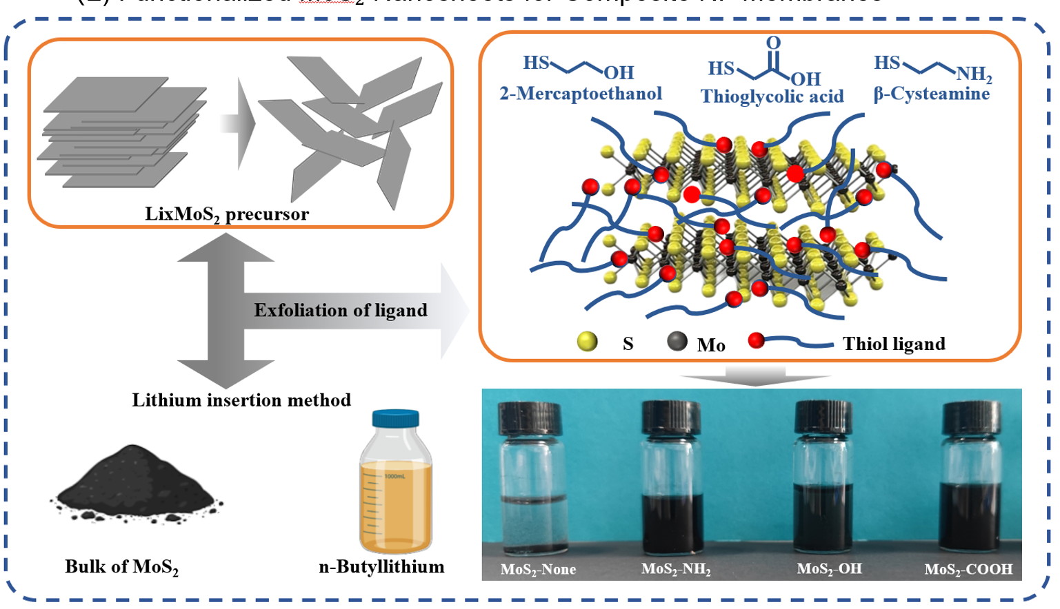 Process diagram for lithium-intercalation exfoliation and thiol functionalization of MoS₂ nanosheets